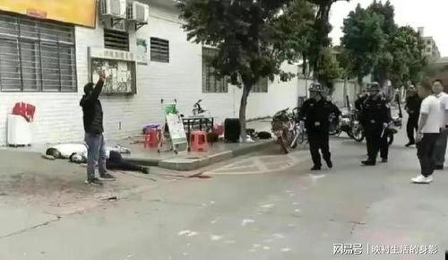 东莞凤岗爆料案件最新,真相渐明，疑云散去  第3张