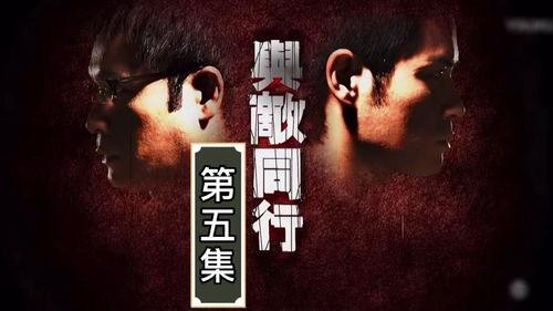 与敌同行国语在线观看,国战风云，共赴生死之约  第2张