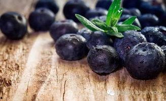 蓝莓被爆料视频大全,揭秘神秘事件背后的真相  第2张